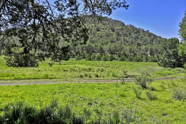 Terreno en venta en Los Llanos, Arteaga — foto 3 de 12