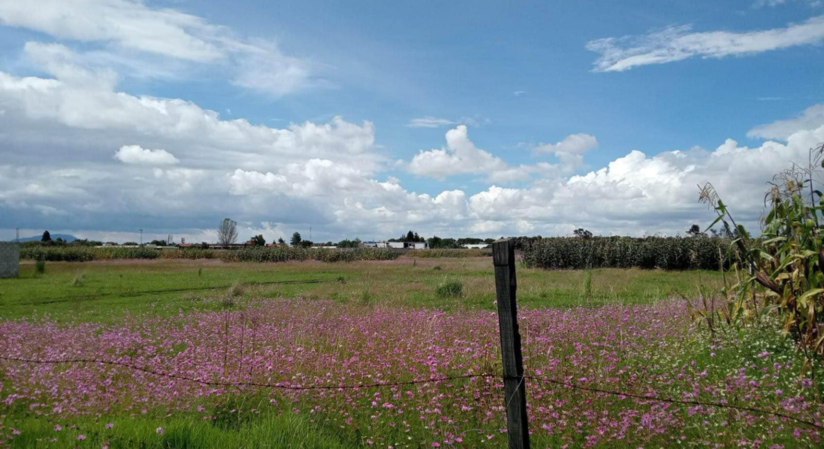 Terreno en venta en San Miguel Totocuitlapilco, Metepec — foto 1 de 2