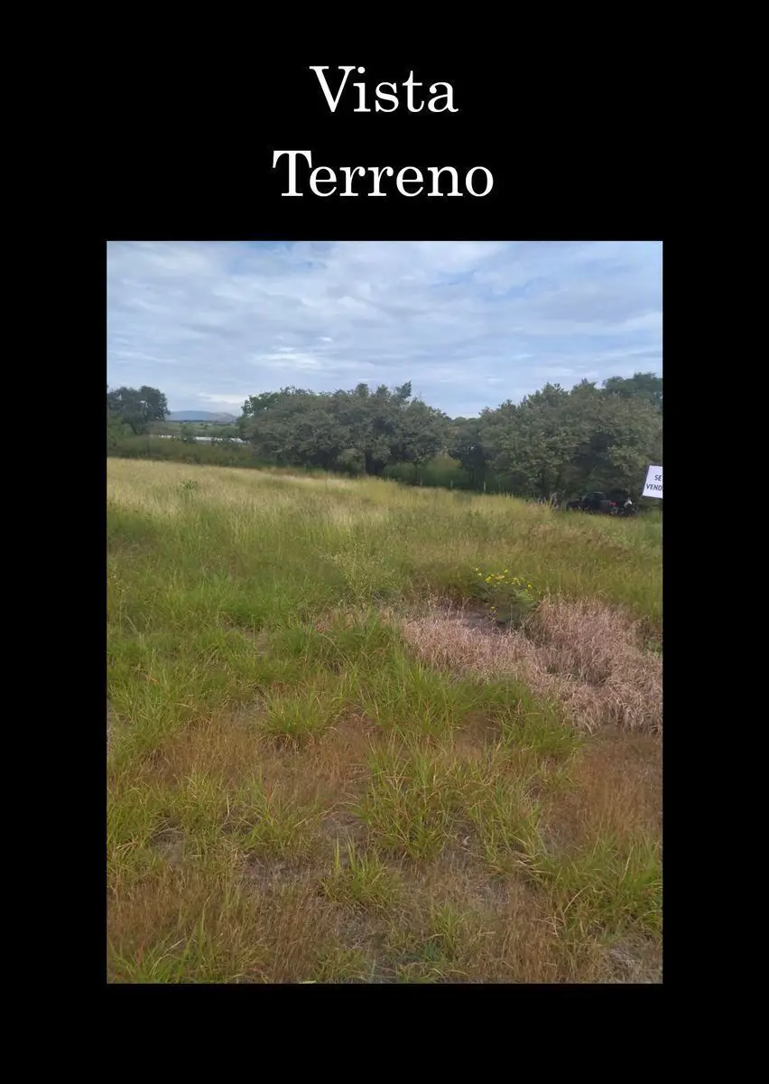 Terreno en venta en Ahuehuetzingo, Puente de Ixtla — foto 1 de 9