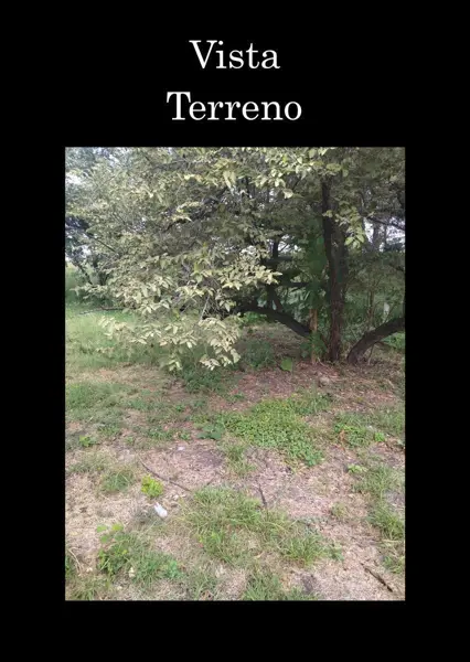 Terreno en venta en Ahuehuetzingo, Puente de Ixtla — foto 3 de 9
