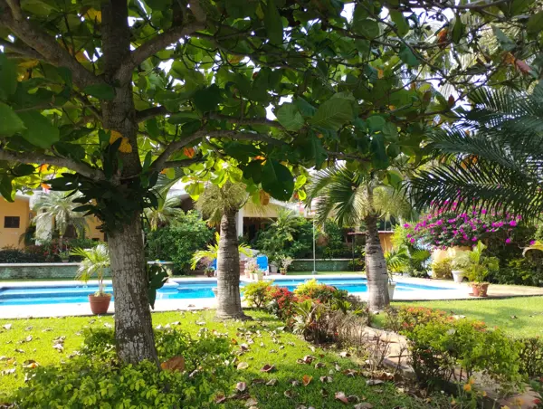 Quinta en venta en La Posta, La Antigua — foto 2 de 49