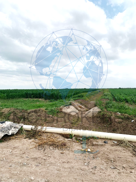 Terreno en venta en El Cambio, Matamoros — foto 2 de 5