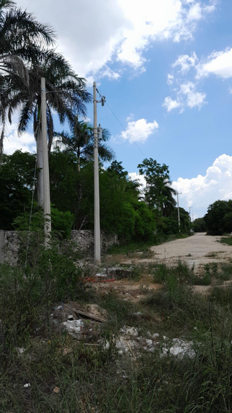 Terreno en Dzitya, Mérida, Yucatán