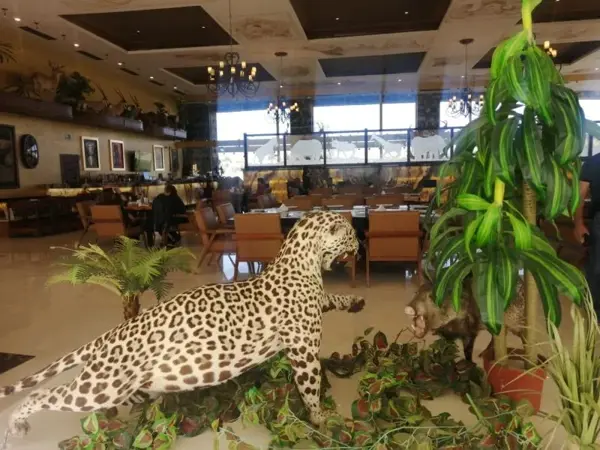 Terreno en venta en Ciudad Juárez, Lerdo — foto 3 de 8