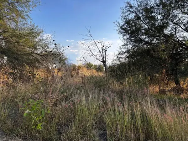 Terreno en venta en El Encino, Huimilpan — foto 3 de 9