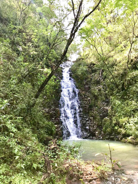Terreno en venta en Chiquilistlan, Chiquilistlán — foto 2 de 4