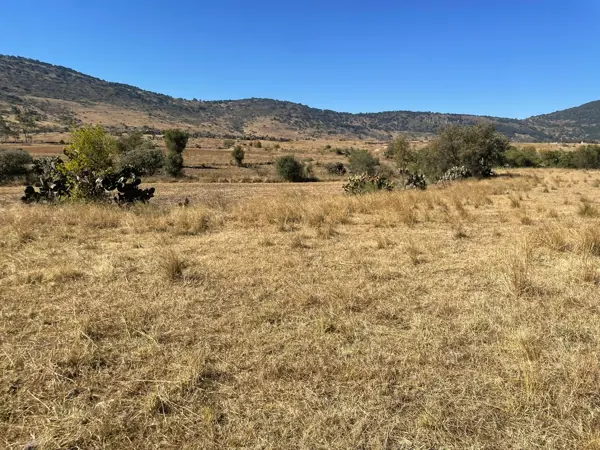 Terreno en venta en Chitejé de la Cruz, Amealco de Bonfil — foto 3 de 25