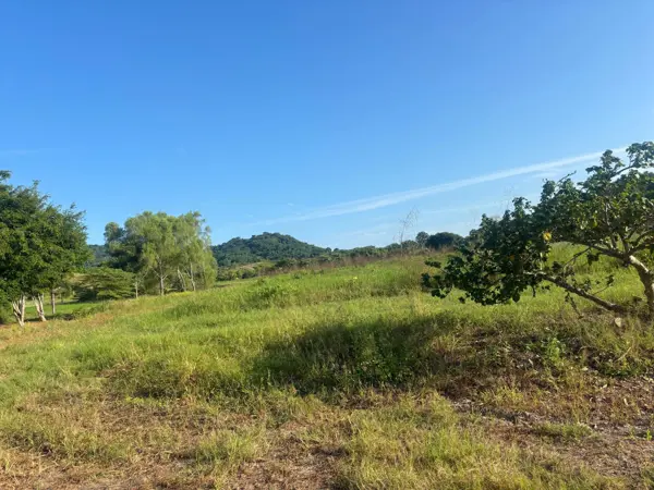 Terreno en venta en Lo de Marcos, Bahía de Banderas — foto 2 de 14