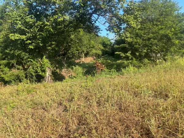 Terreno en venta en Lo de Marcos, Bahía de Banderas — foto 3 de 14