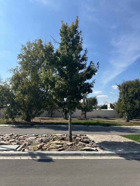 Terreno en venta en Peña Alta, Saltillo, Coahuila de Zaragoza