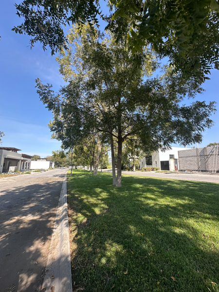 Terreno en venta en Peña Alta, Saltillo — foto 3 de 5