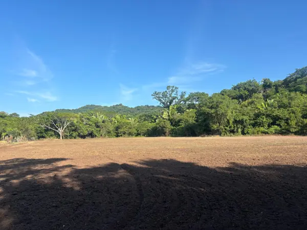 Terreno en venta en Lo de Marcos, Bahía de Banderas — foto 2 de 12