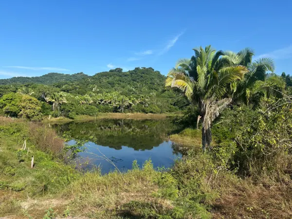 Terreno en venta en Lo de Marcos, Bahía de Banderas — foto 3 de 12