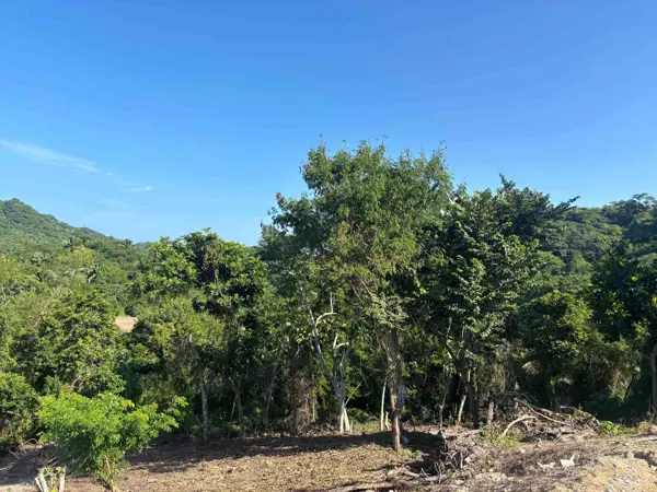 Terreno en venta en Lo de Marcos, Bahía de Banderas — foto 3 de 12