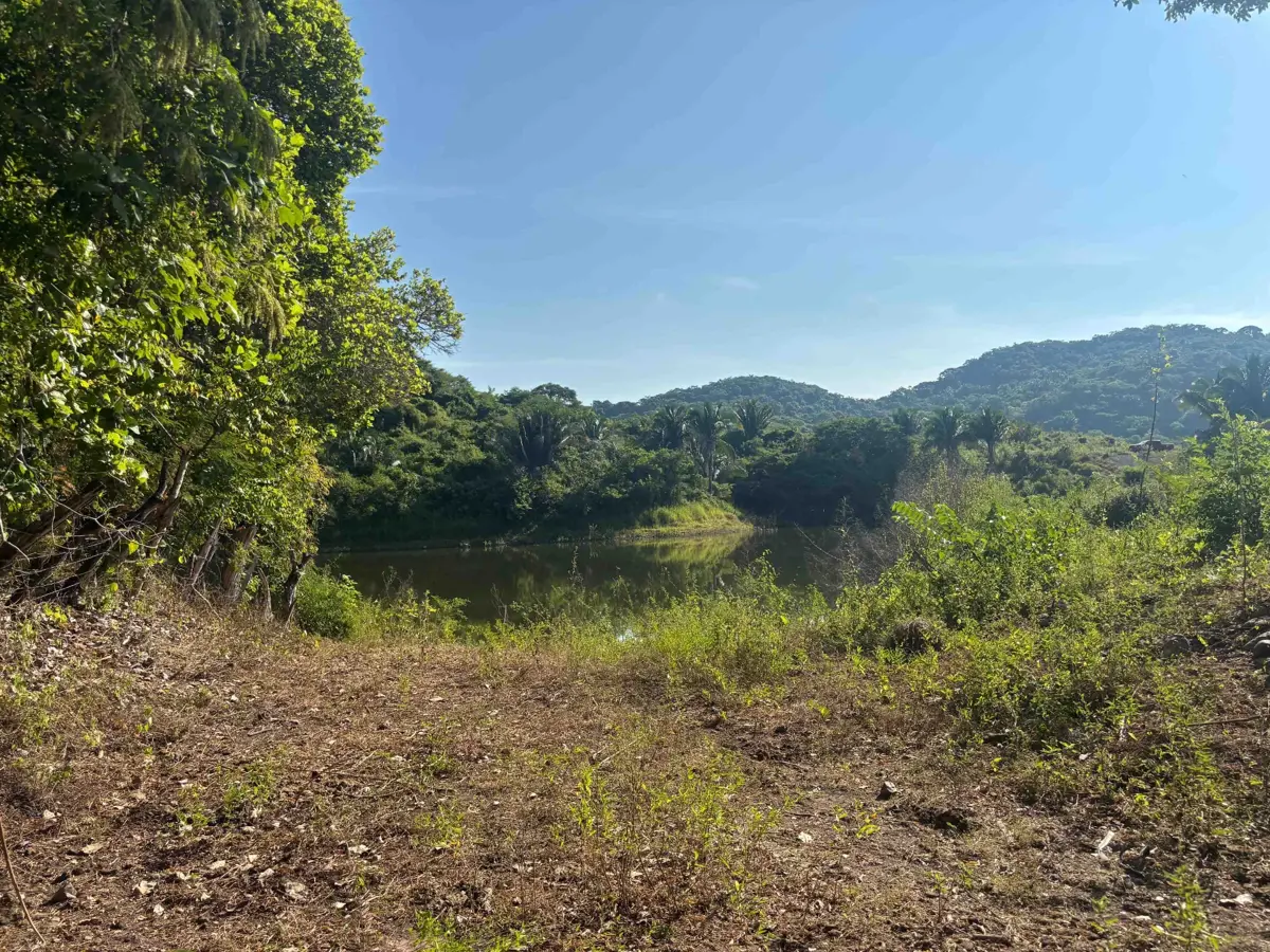 Terreno en venta en Lo de Marcos, Bahía de Banderas — foto 1 de 12