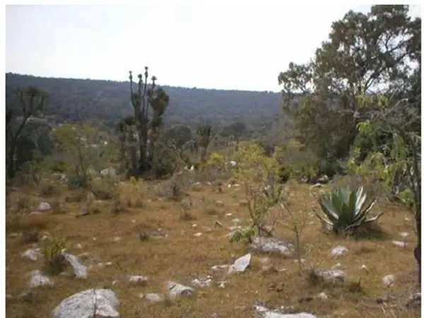 Terreno en venta en Tecali de Herrera, Tecali de Herrera — foto 2 de 6