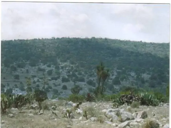 Terreno en venta en Tecali de Herrera, Tecali de Herrera — foto 3 de 6