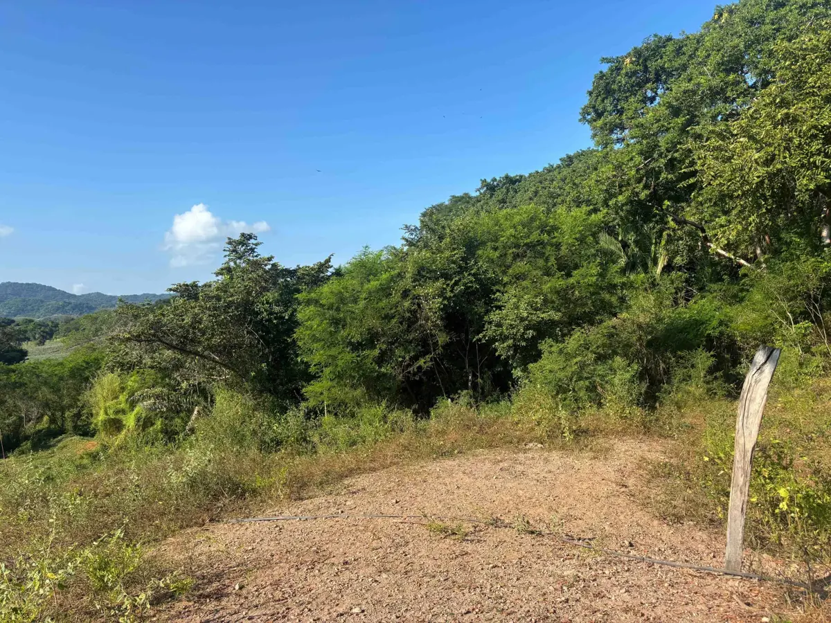 Terreno en venta en La Peñita de Jaltemba Centro, Compostela — foto 1 de 12