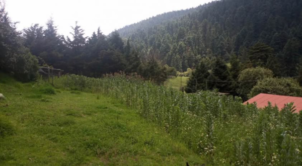 Terreno en venta en Cañada de Alferes, Lerma — foto 2 de 4