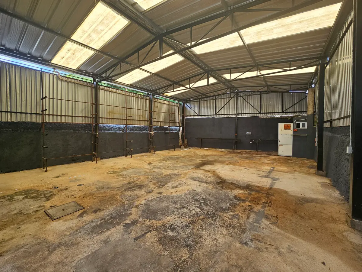Oficina en venta en Merida Centro, Mérida — foto 1 de 24