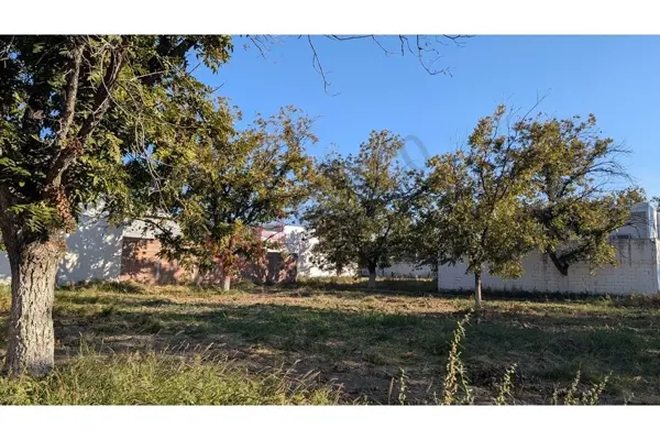 Terreno en venta en San Armando, Torreón — foto 3 de 5