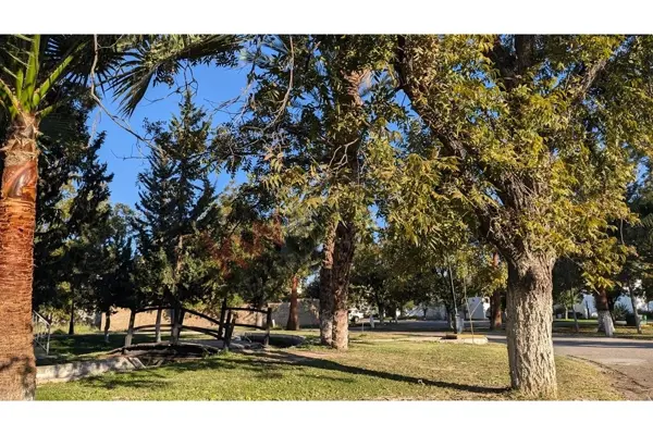 Terreno en venta en San Armando, Torreón, Coahuila de Zaragoza