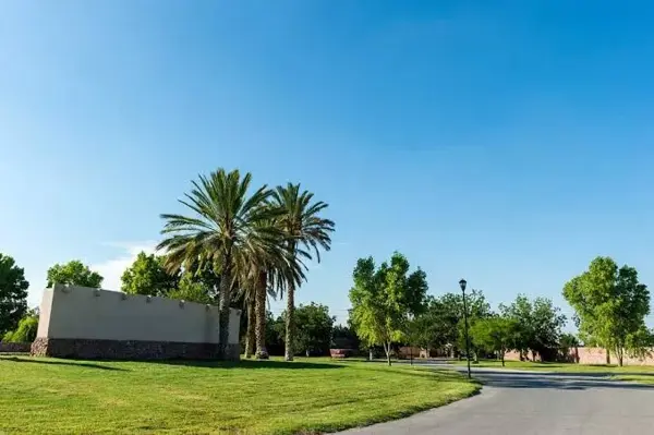 Terreno en venta en Las Trojes, Torreón — foto 3 de 14