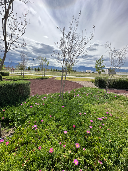 Casa en venta en Valle de Fontanna, Ramos Arizpe — foto 2 de 22