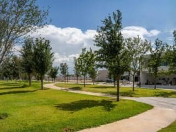 Terreno en venta en Rincón de Alcántara, Saltillo — foto 3 de 5