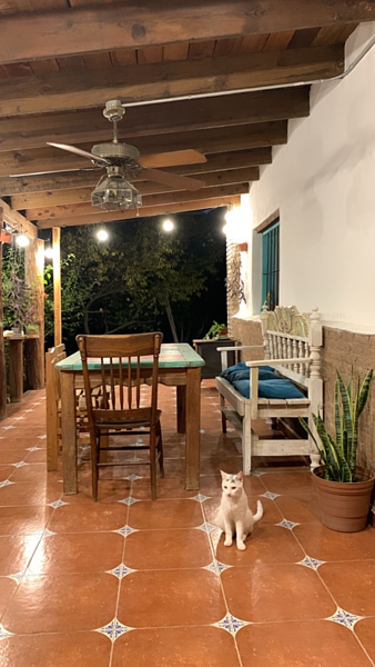 Finca-Rancho en venta en Monterrey, Lerdo — foto 3 de 16