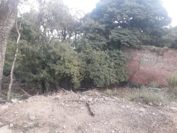 Terreno en venta en La Carolina, Cuernavaca — foto 2 de 7