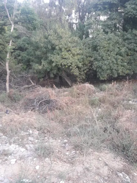 Terreno en venta en La Carolina, Cuernavaca — foto 3 de 7