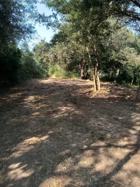 Terreno en venta en Canoas, Montemorelos — foto 3 de 24
