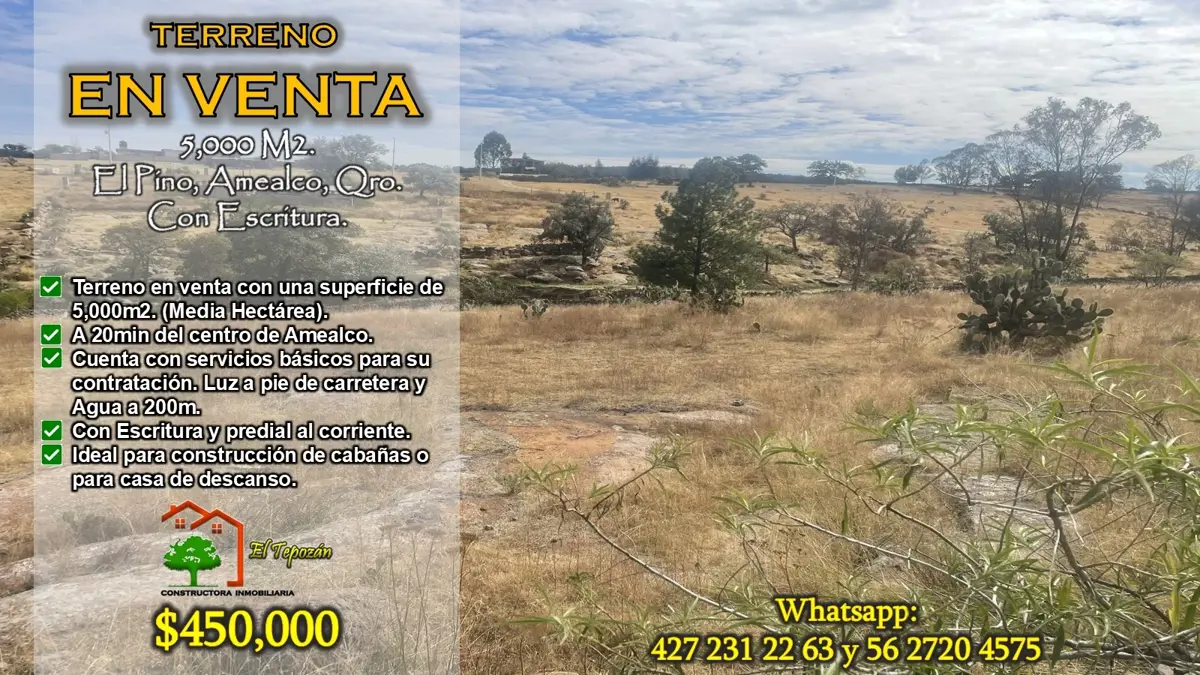 Terreno en venta en El Pino, Amealco de Bonfil — foto 1 de 36