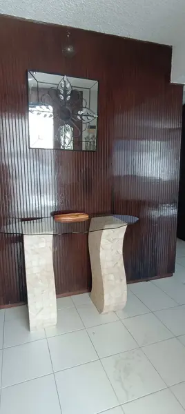 Casa en venta en Carrizal, Centro — foto 3 de 38
