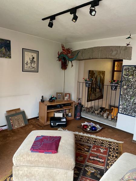 Casa en venta en Santa Maria Tepepan, Xochimilco — foto 3 de 11