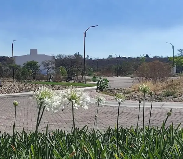 Terreno en venta en Ciudad Maderas Montaña, El Marqués — foto 2 de 7