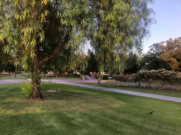 Terreno en venta en Las Villas, Torreón — foto 3 de 5