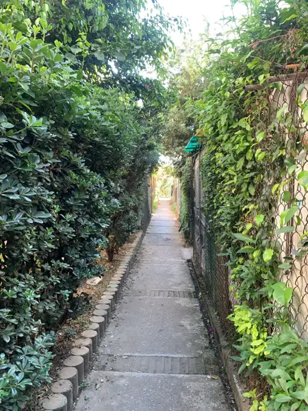 Departamento en renta en Lomas de Cortes, Cuernavaca — foto 3 de 15