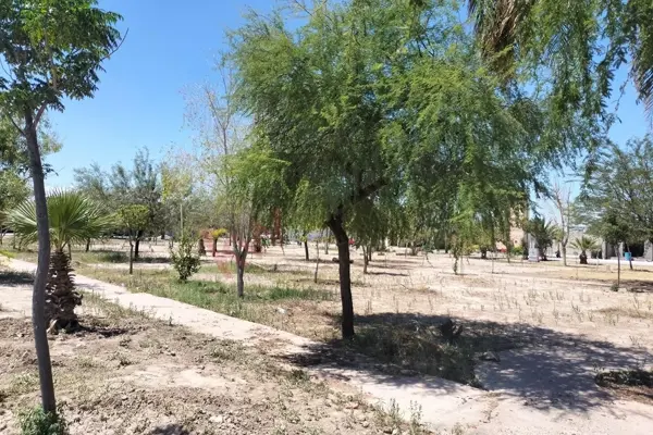 Terreno en venta en El Campanario, Torreón — foto 3 de 8