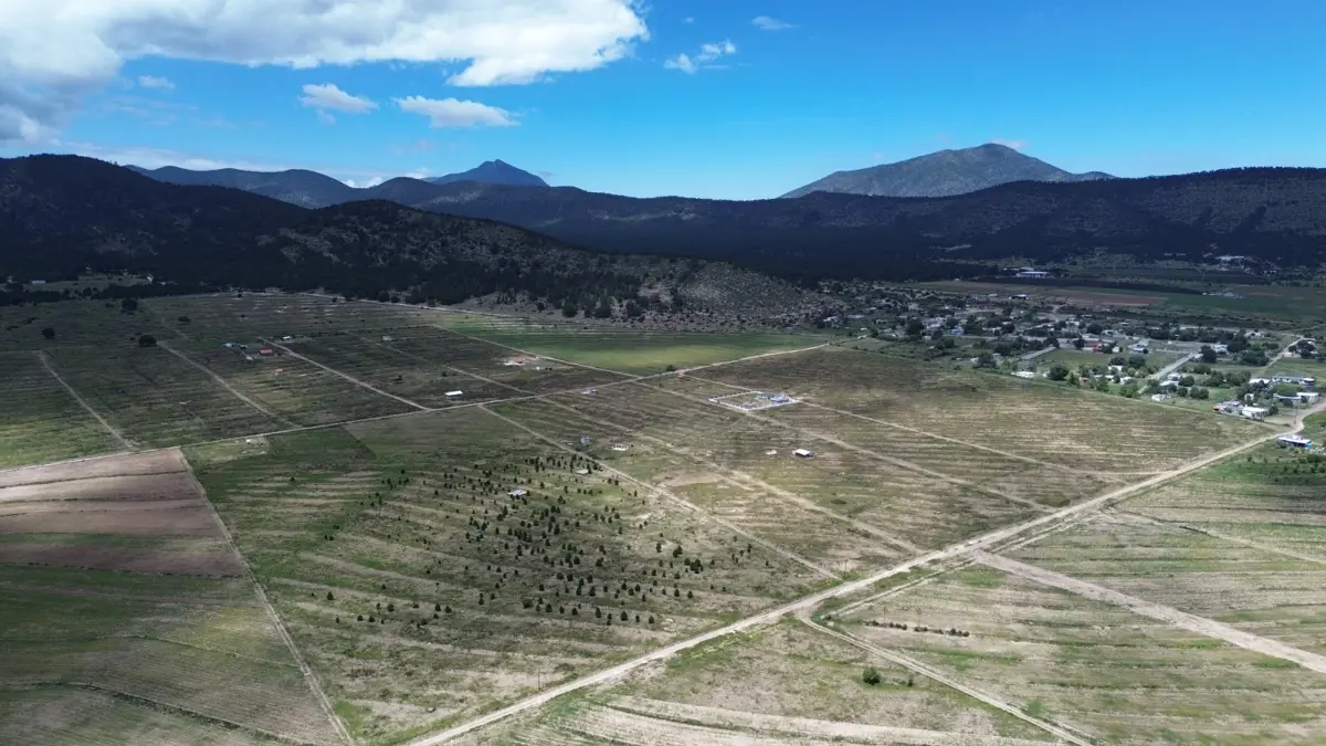 Terreno en venta en El Cedrito, Arteaga — foto 1 de 4