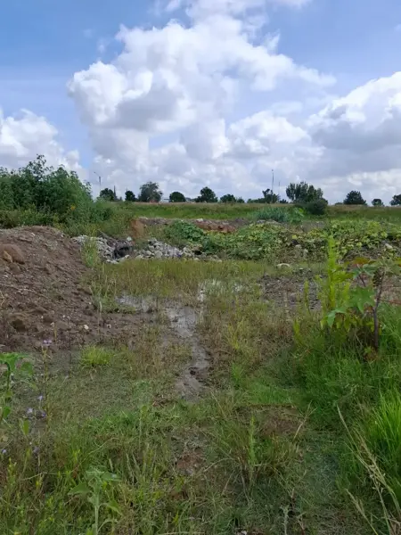 Terreno en venta en San Bernardino Tlaxcalancingo, San Andrés Cholula — foto 3 de 12