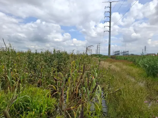 Terreno en venta en San Antonio Cacalotepec, San Andrés Cholula — foto 3 de 9
