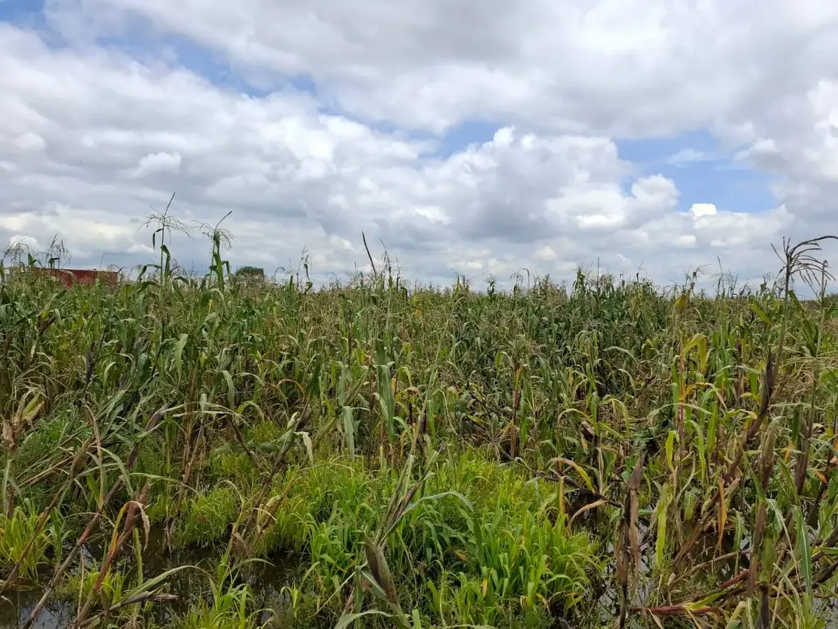 Terreno en venta en San Antonio Cacalotepec, San Andrés Cholula — foto 1 de 9