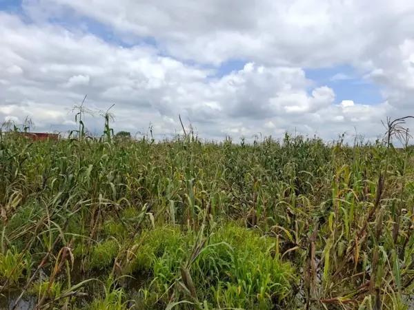 Terreno en venta en San Antonio Cacalotepec, San Andrés Cholula, Puebla