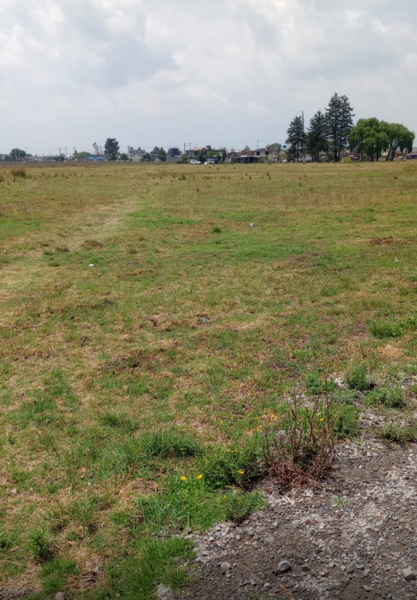 Terreno en venta en La Constitucion Totoltepec, Toluca — foto 2 de 3