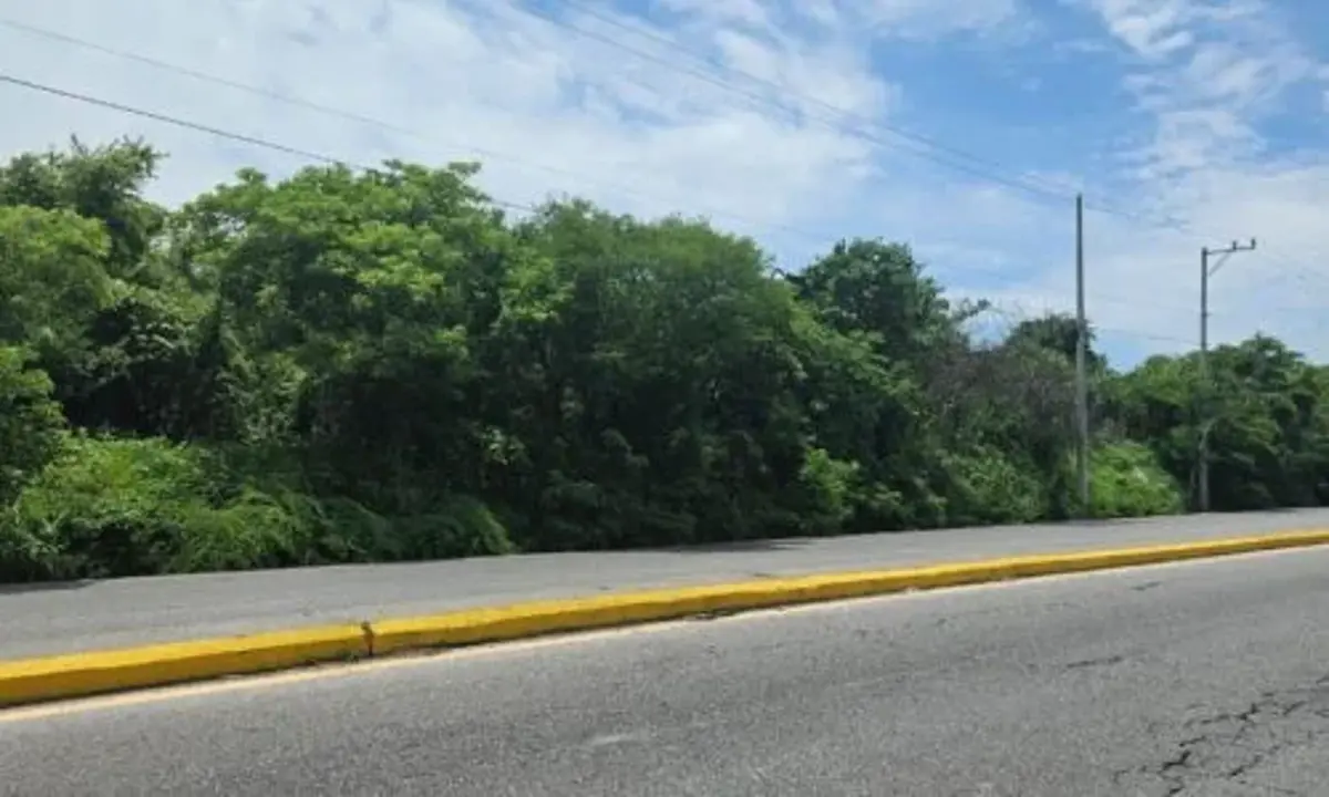 Terreno en venta en Amador Salazar, Tlaltizapán de Zapata — foto 1 de 5