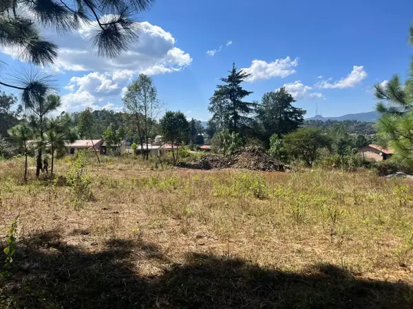 Terreno en venta en Tapalpa, Tapalpa — foto 2 de 28