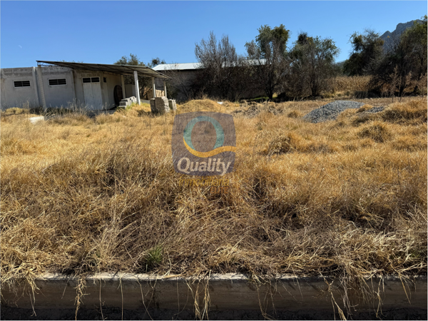 Terreno en venta en Primera Sección Atenco, Cuaxomulco — foto 3 de 9