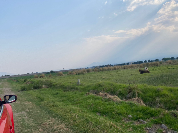 Terreno en venta en San Miguel Totocuitlapilco, Metepec — foto 2 de 7
